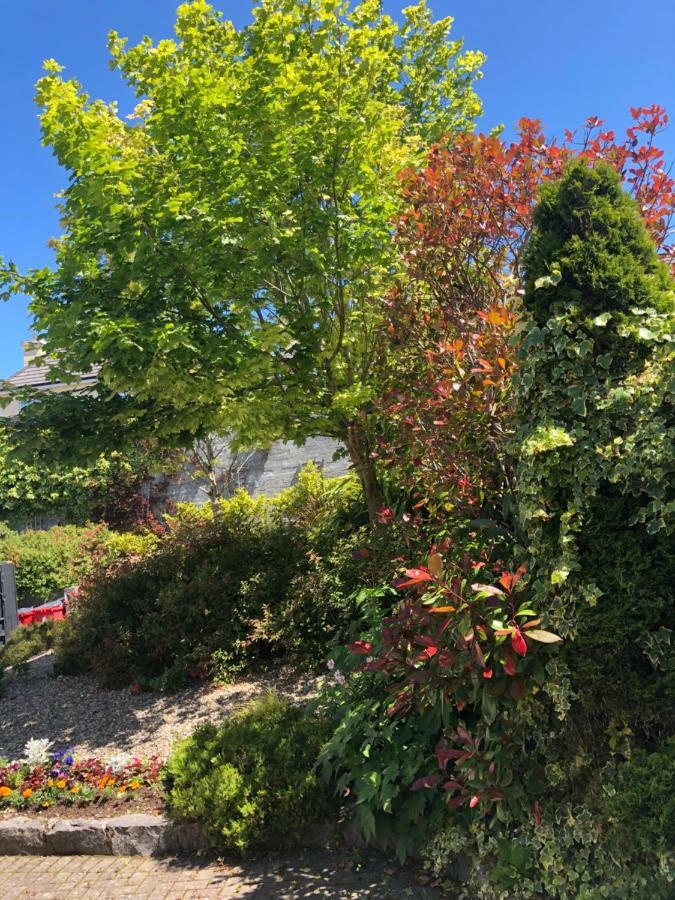 Amber Hill Bed & Breakfast Galway Dış mekan fotoğraf