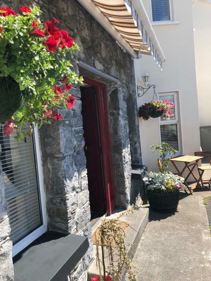 Amber Hill Bed & Breakfast Galway Dış mekan fotoğraf