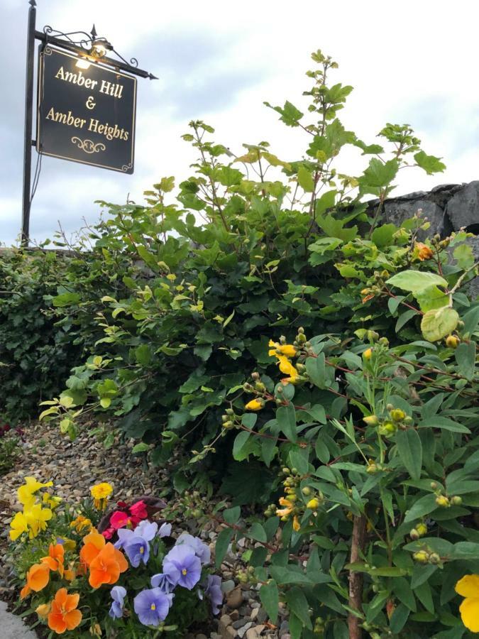 Amber Hill Bed & Breakfast Galway Dış mekan fotoğraf